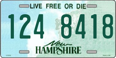 NH license plate 1248418