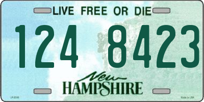 NH license plate 1248423