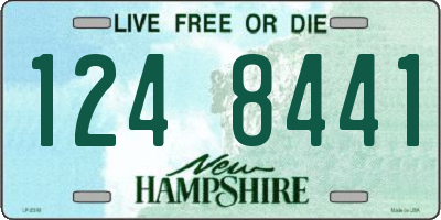 NH license plate 1248441