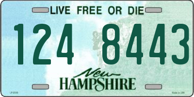 NH license plate 1248443