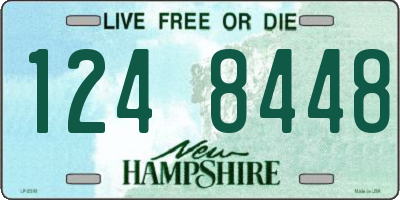 NH license plate 1248448