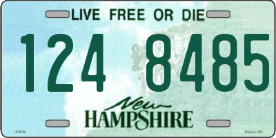 NH license plate 1248485