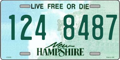 NH license plate 1248487