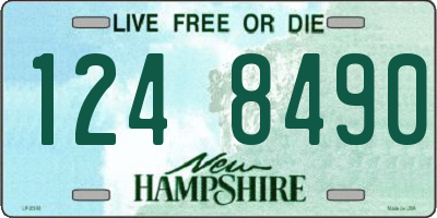 NH license plate 1248490