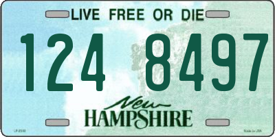 NH license plate 1248497