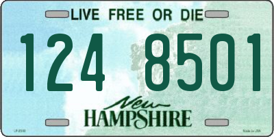 NH license plate 1248501