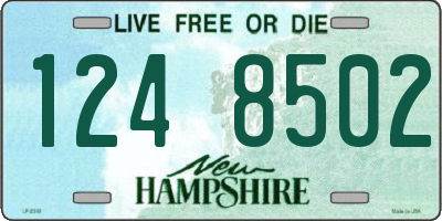 NH license plate 1248502