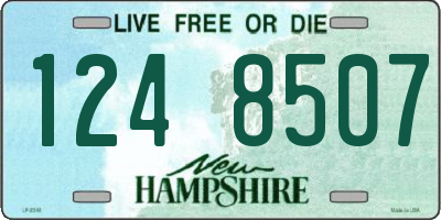 NH license plate 1248507