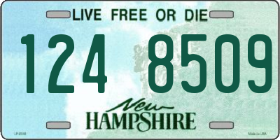 NH license plate 1248509
