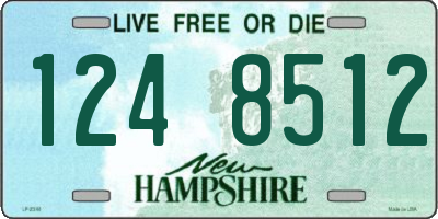 NH license plate 1248512