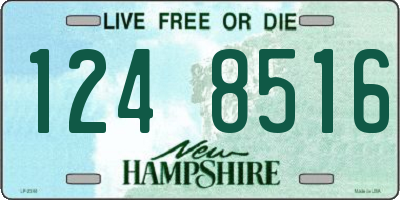 NH license plate 1248516