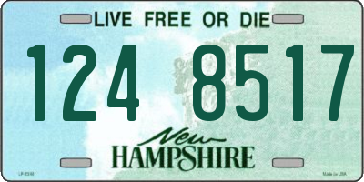 NH license plate 1248517