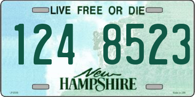 NH license plate 1248523