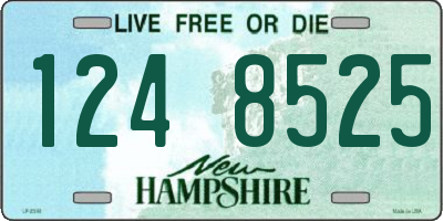 NH license plate 1248525