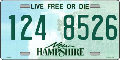 NH license plate 1248526