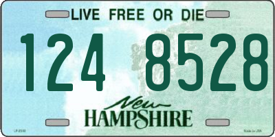 NH license plate 1248528