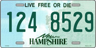 NH license plate 1248529