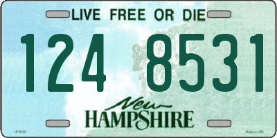 NH license plate 1248531