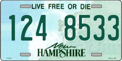 NH license plate 1248533