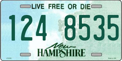NH license plate 1248535