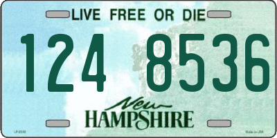 NH license plate 1248536