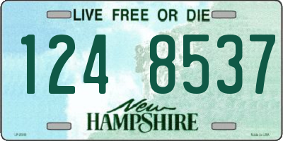 NH license plate 1248537