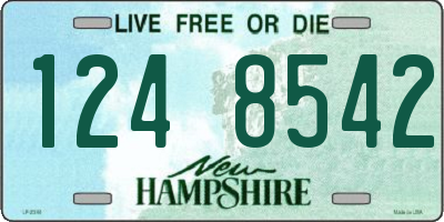 NH license plate 1248542