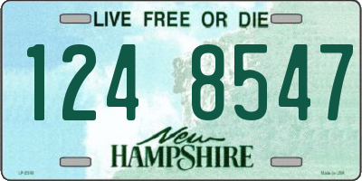 NH license plate 1248547