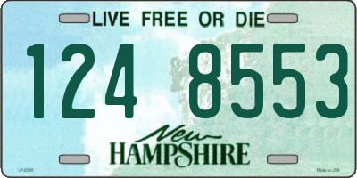 NH license plate 1248553