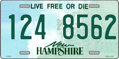 NH license plate 1248562