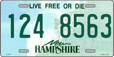NH license plate 1248563