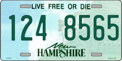 NH license plate 1248565