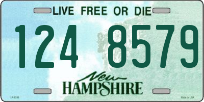 NH license plate 1248579