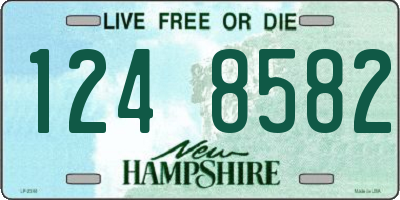 NH license plate 1248582