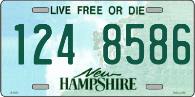 NH license plate 1248586