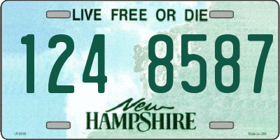 NH license plate 1248587