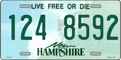 NH license plate 1248592