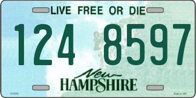 NH license plate 1248597