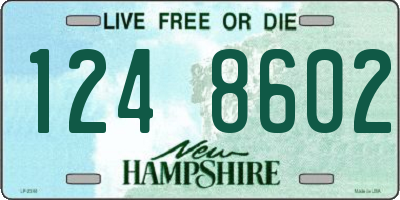 NH license plate 1248602