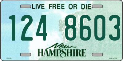 NH license plate 1248603