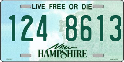 NH license plate 1248613