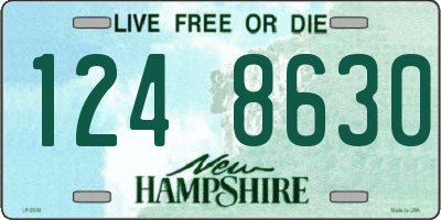 NH license plate 1248630