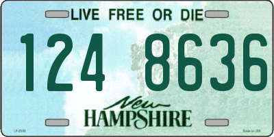 NH license plate 1248636