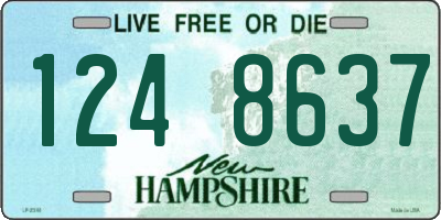 NH license plate 1248637
