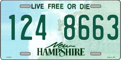 NH license plate 1248663