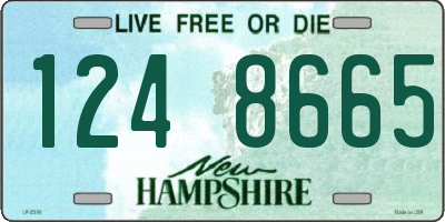 NH license plate 1248665