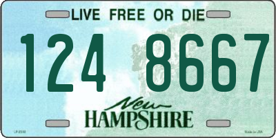 NH license plate 1248667