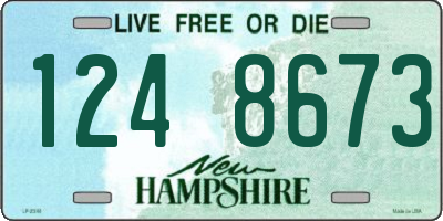 NH license plate 1248673