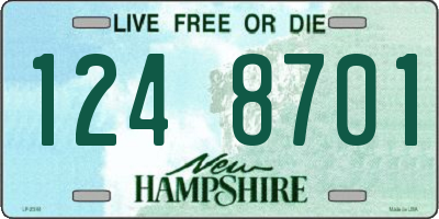 NH license plate 1248701