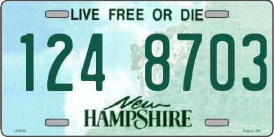 NH license plate 1248703